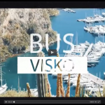 bus visko