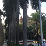Mumbai (1)